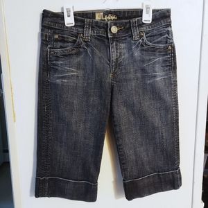 KUT from the Kloth Bermuda Denim Shorts 2